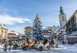 Private transfer from Geneva Airport to Megève